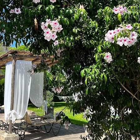 Masseria Casina Montana Corigliano dʼOtranto المظهر الخارجي الصورة