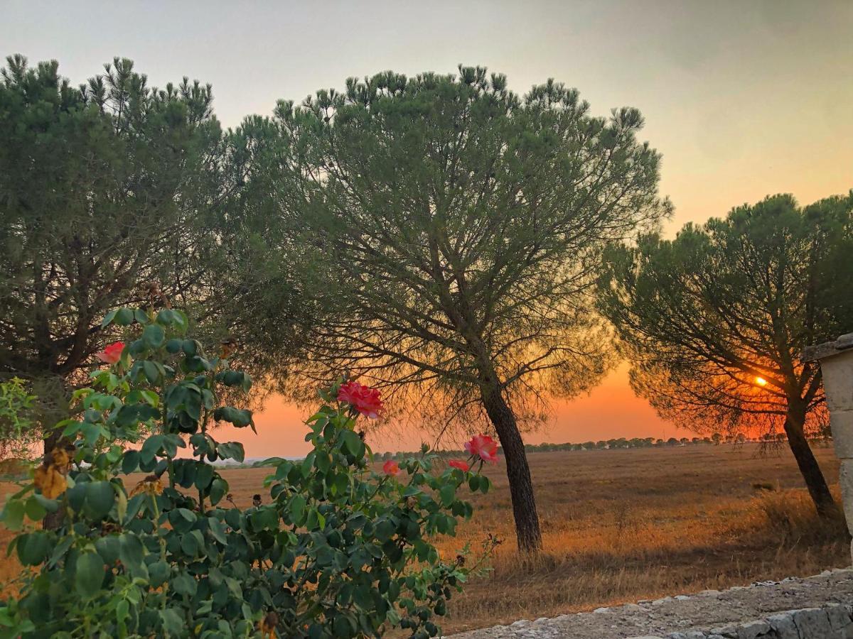 Masseria Casina Montana Corigliano dʼOtranto المظهر الخارجي الصورة