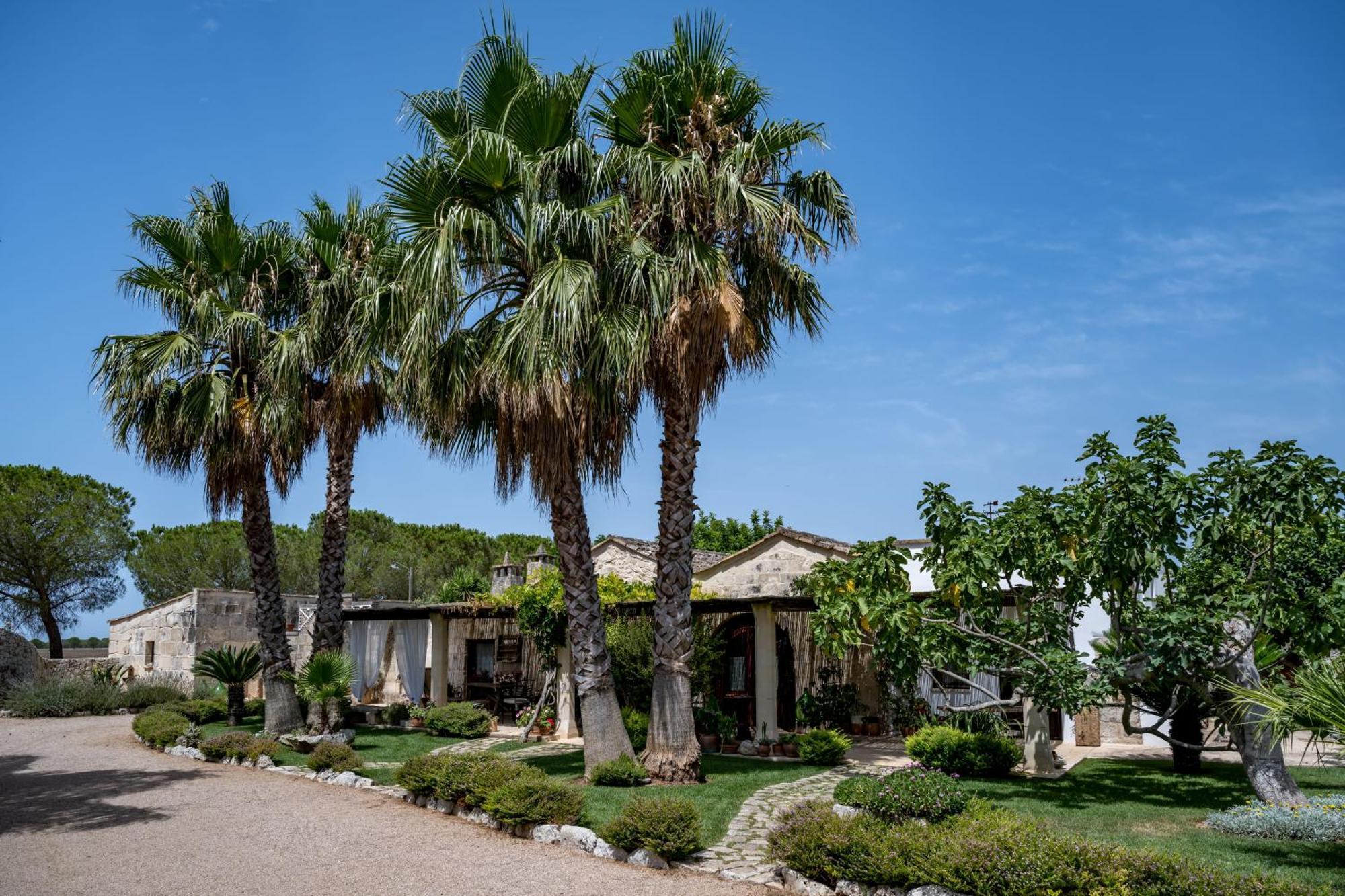 Masseria Casina Montana Corigliano dʼOtranto المظهر الخارجي الصورة