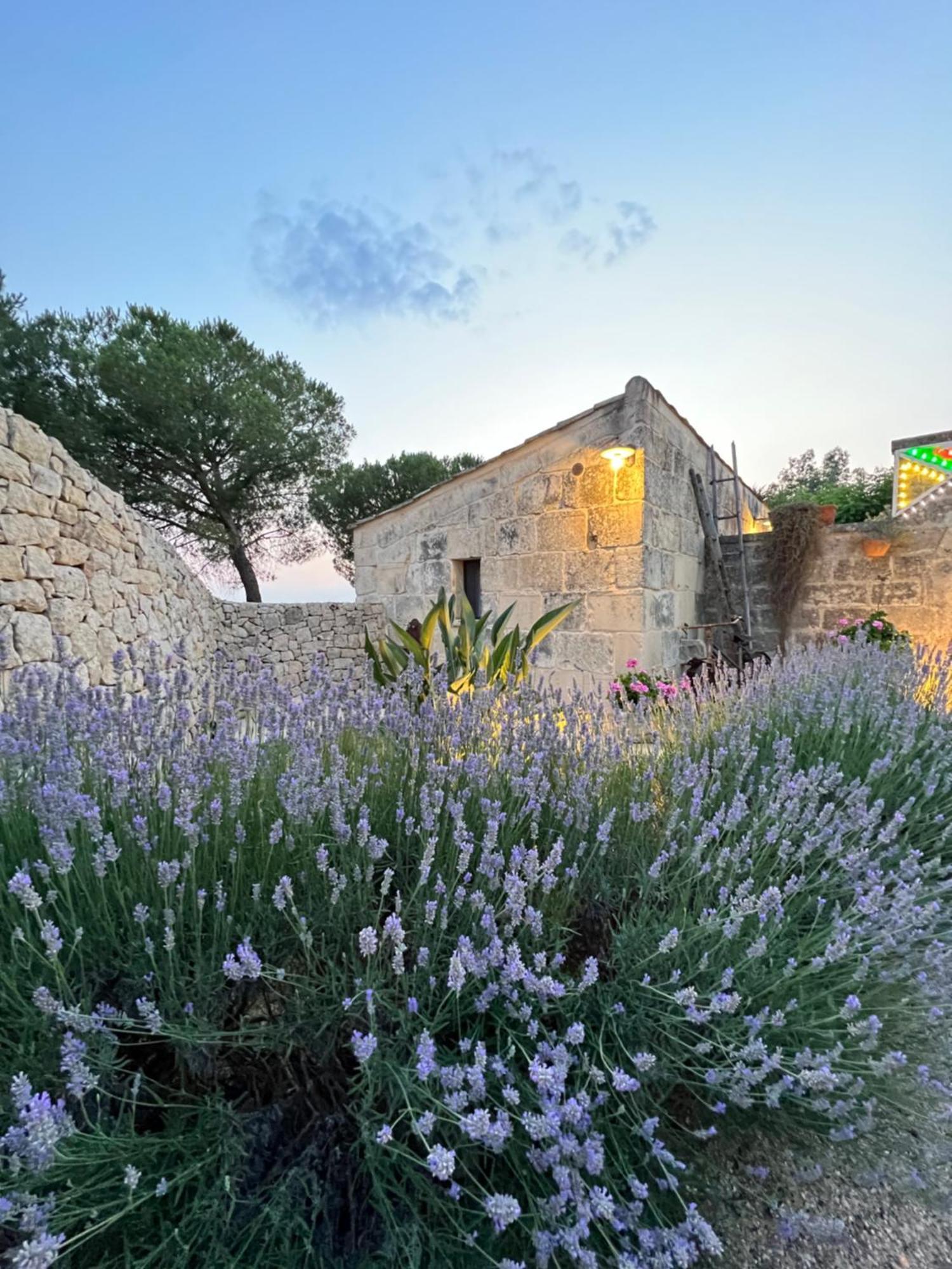 Masseria Casina Montana Corigliano dʼOtranto المظهر الخارجي الصورة